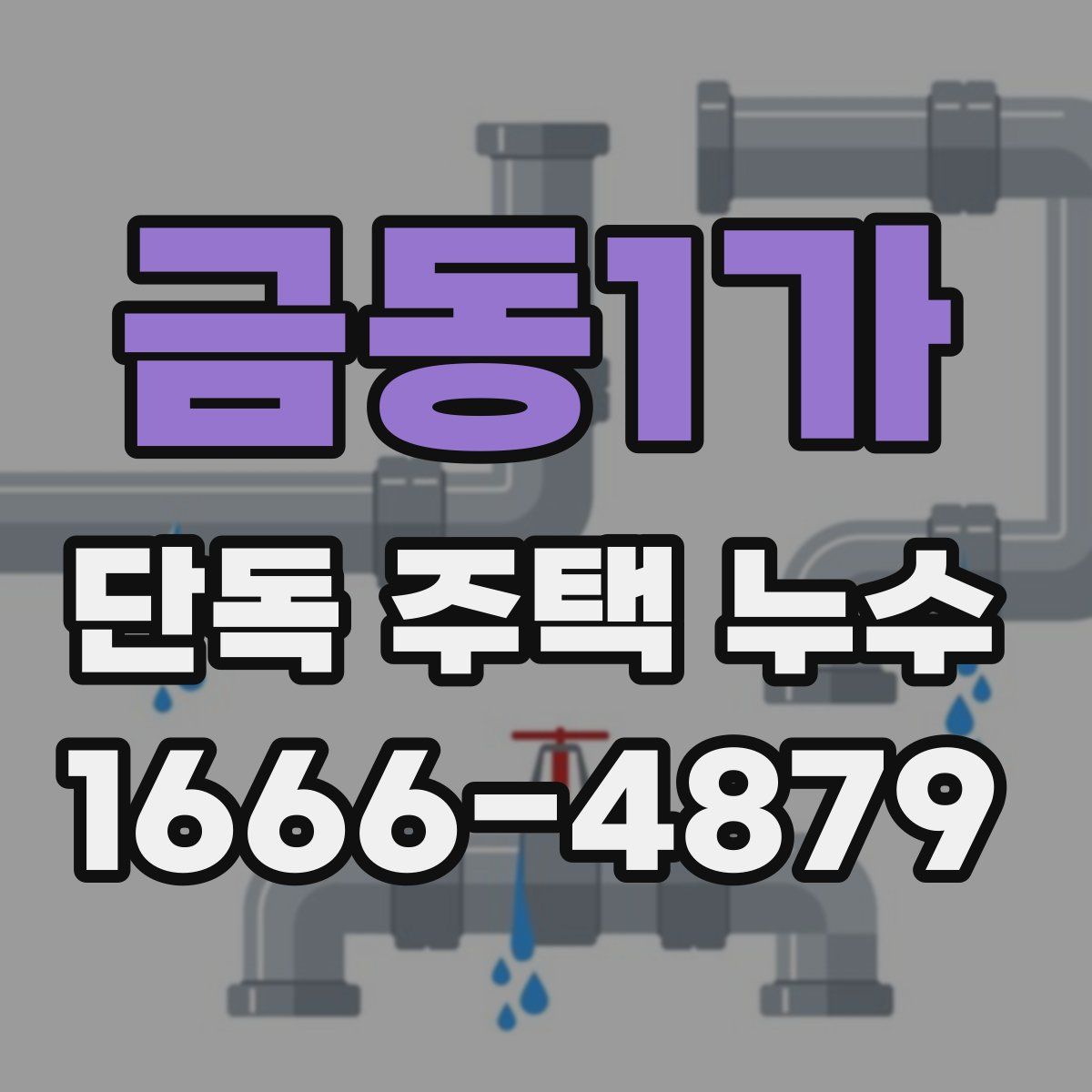 금동1가 단독 주택 누수
