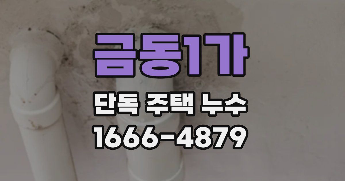 금동1가 단독 주택 누수