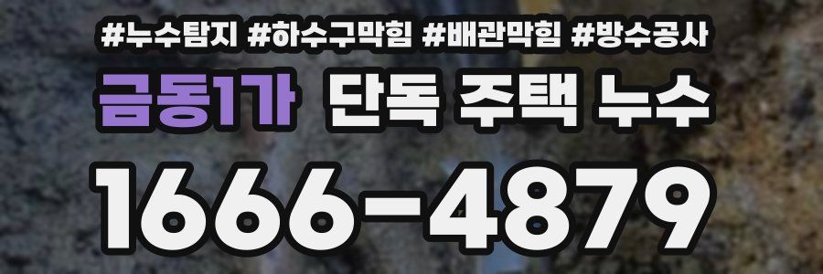 금동1가 단독 주택 누수