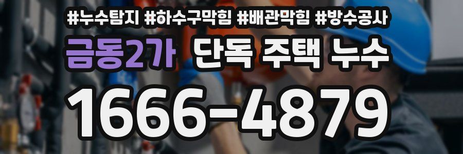 금동2가 단독 주택 누수