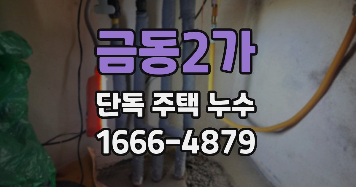 금동2가 단독 주택 누수