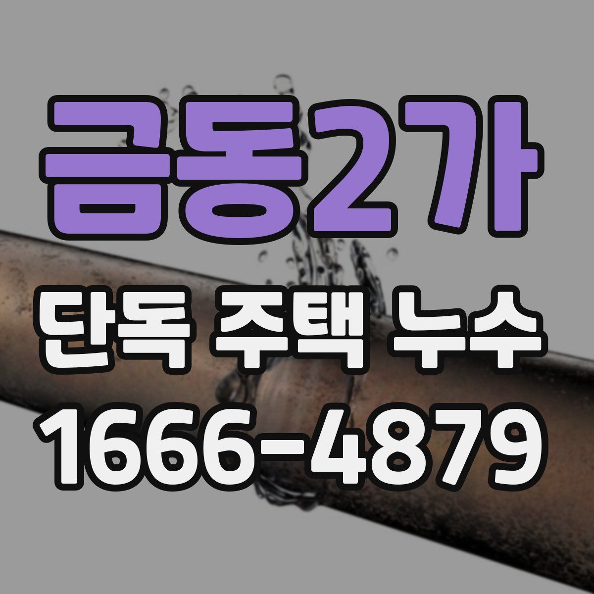 금동2가 단독 주택 누수