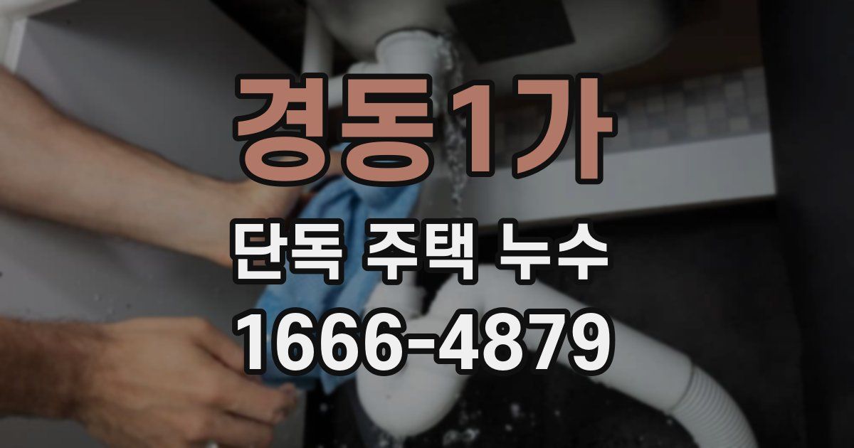 경동1가 단독 주택 누수