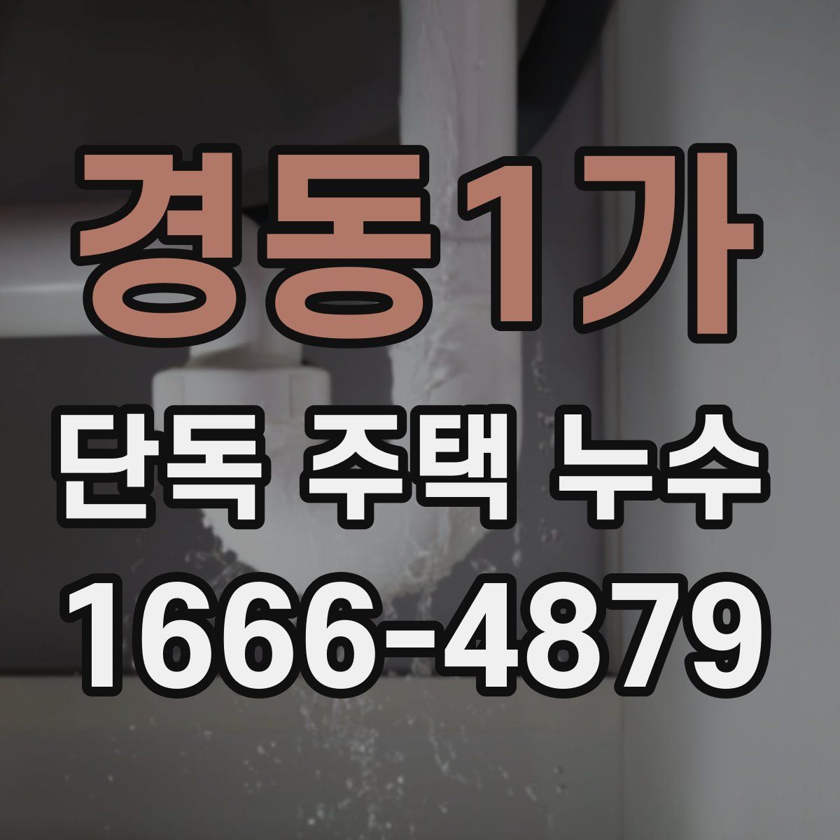 경동1가 단독 주택 누수