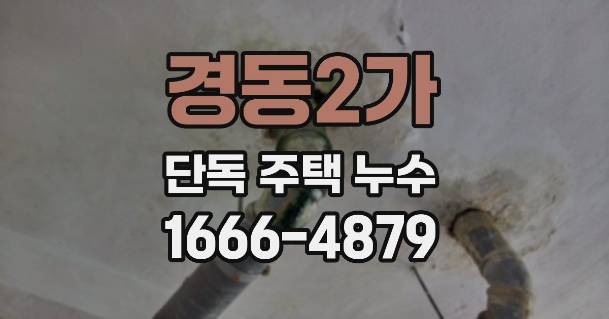 경동2가 단독 주택 누수