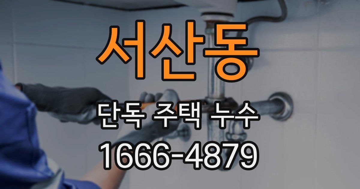 서산동 단독 주택 누수