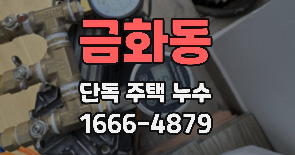 금화동 단독 주택 누수