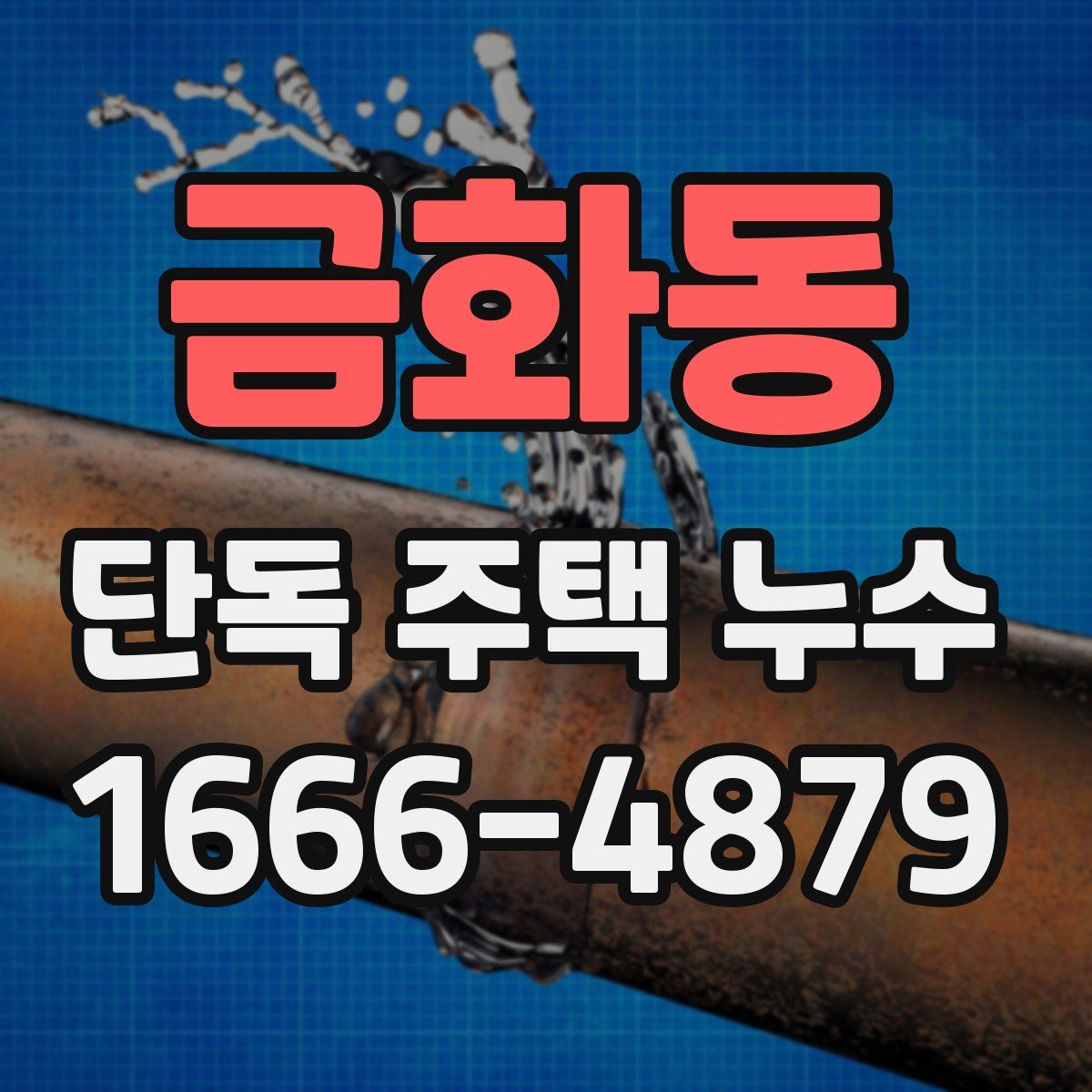 금화동 단독 주택 누수