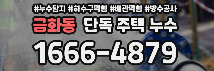 금화동 단독 주택 누수