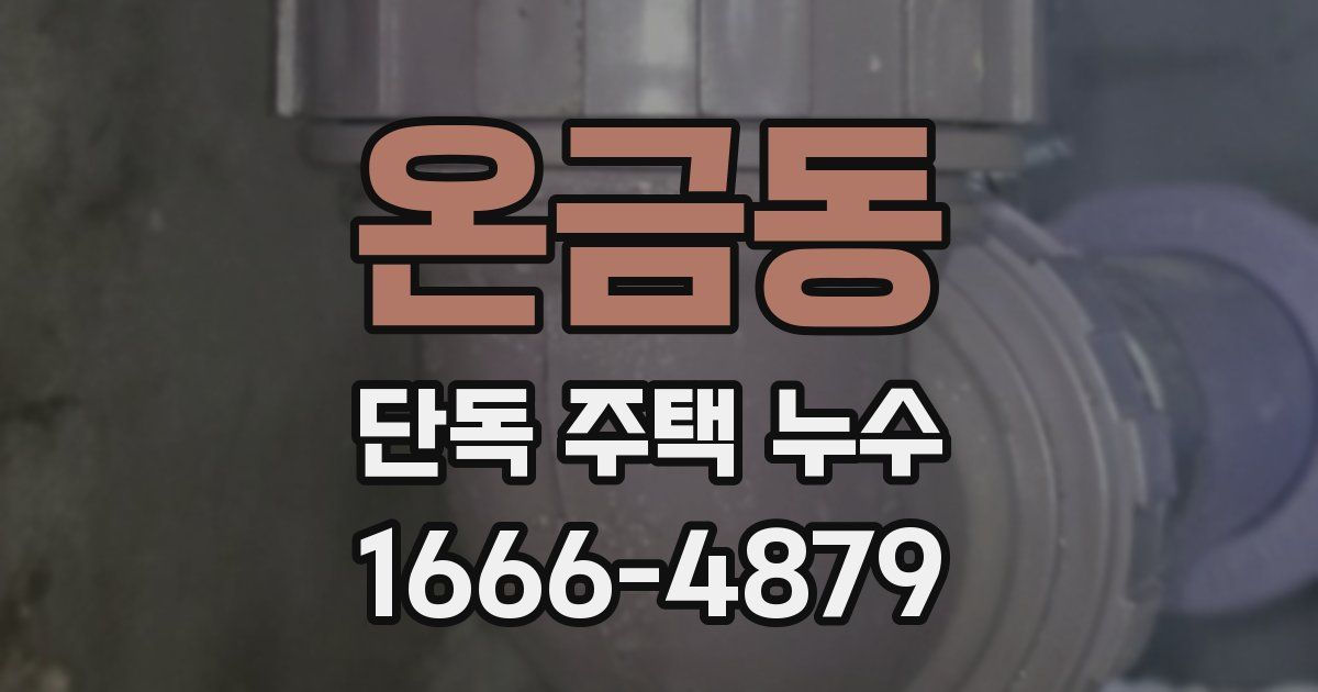 온금동 단독 주택 누수