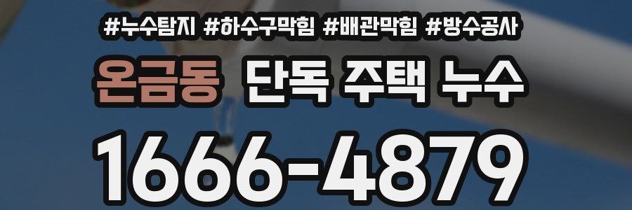 온금동 단독 주택 누수