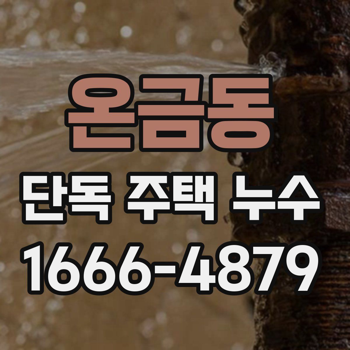 온금동 단독 주택 누수