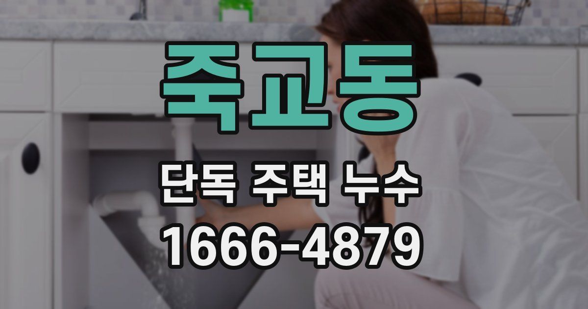 죽교동 단독 주택 누수
