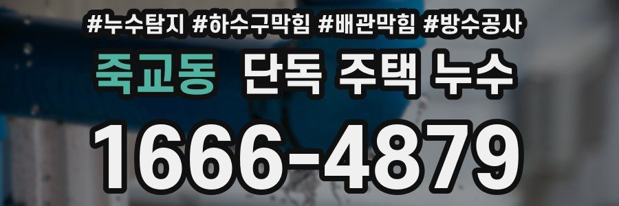죽교동 단독 주택 누수