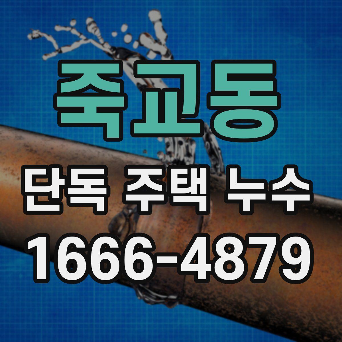 죽교동 단독 주택 누수