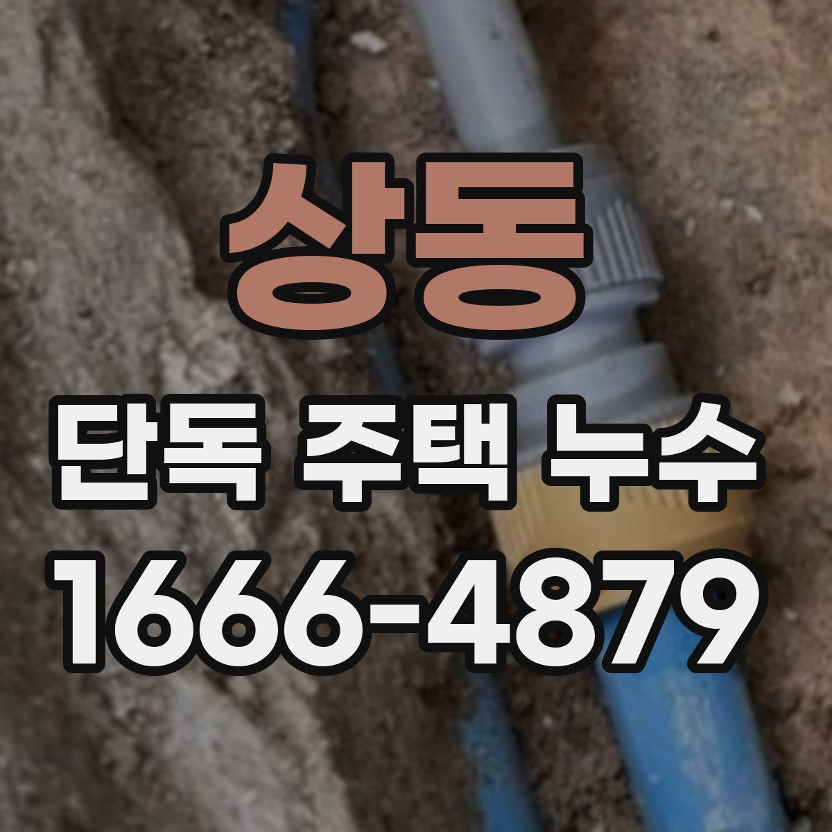 상동 단독 주택 누수
