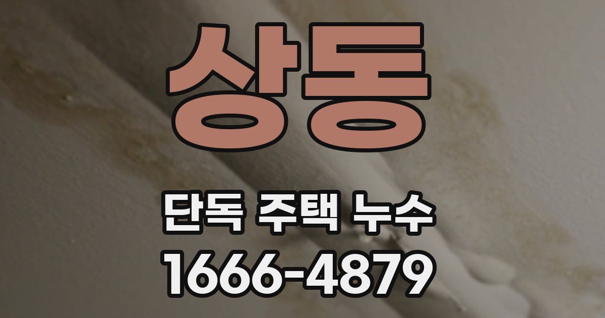 상동 단독 주택 누수