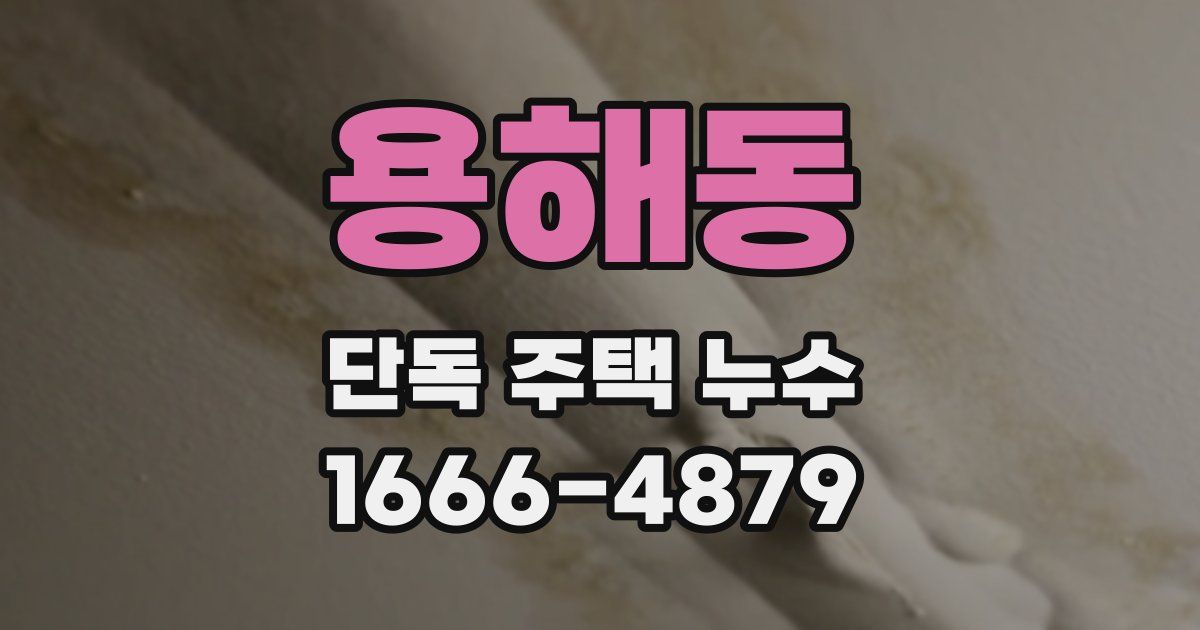 용해동 단독 주택 누수