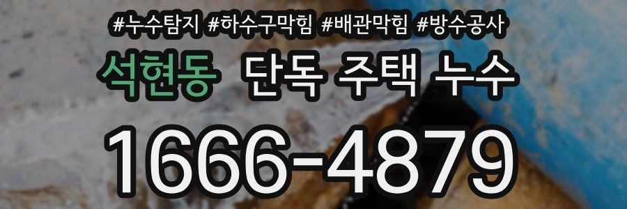 석현동 단독 주택 누수