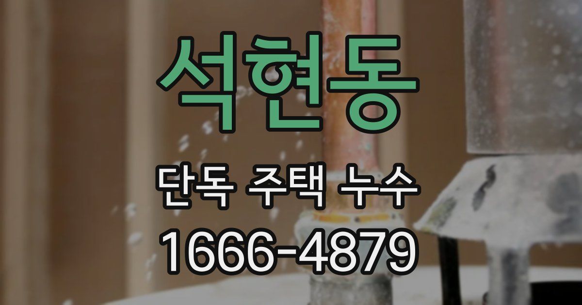 석현동 단독 주택 누수
