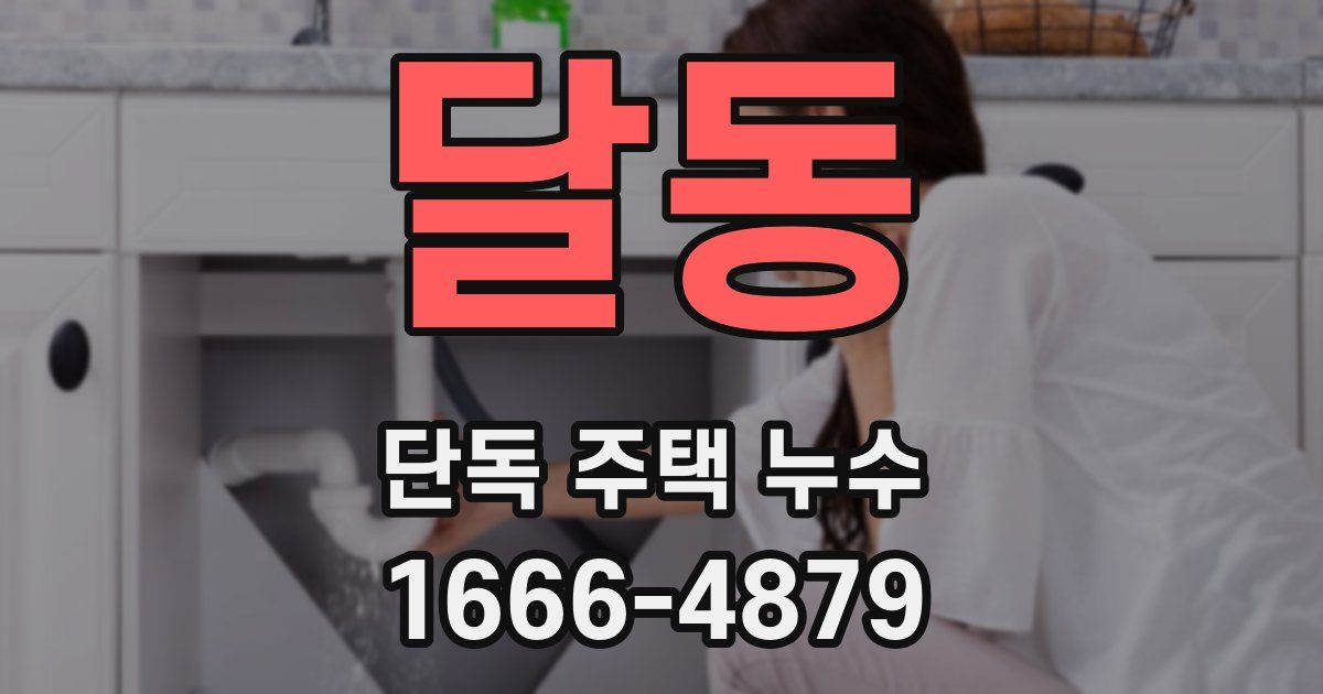 달동 단독 주택 누수