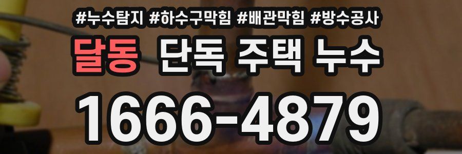 달동 단독 주택 누수