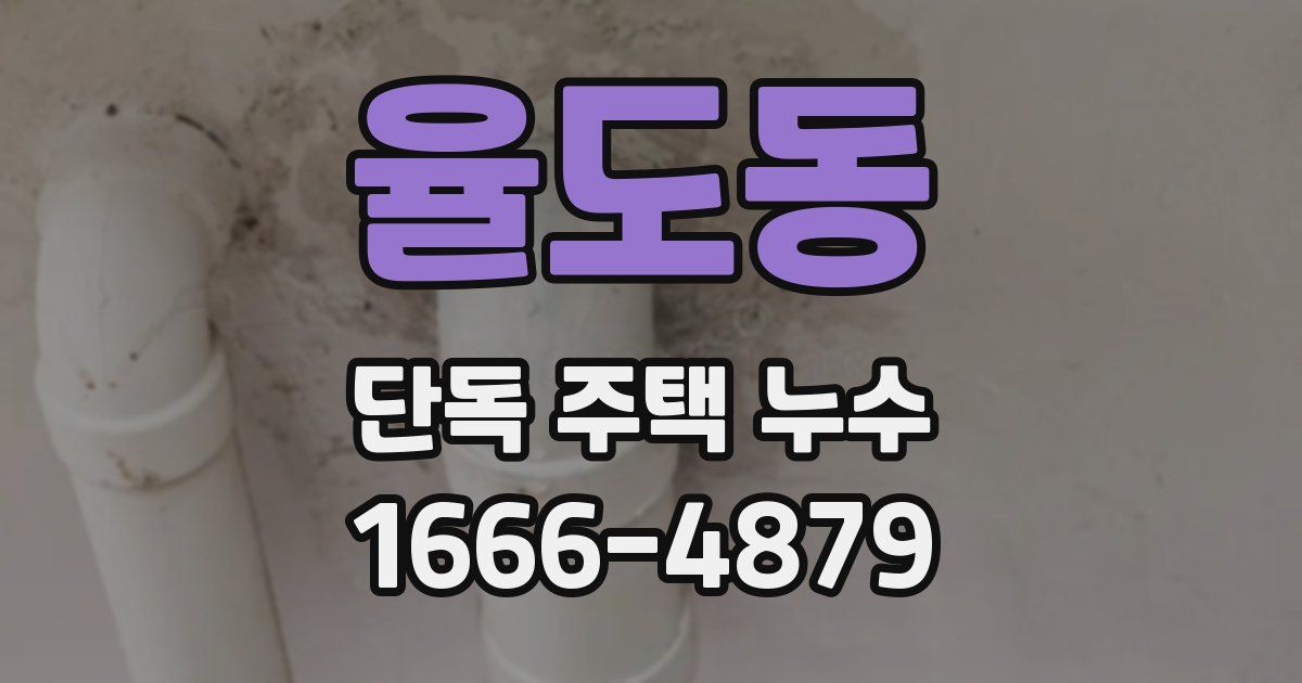 율도동 단독 주택 누수