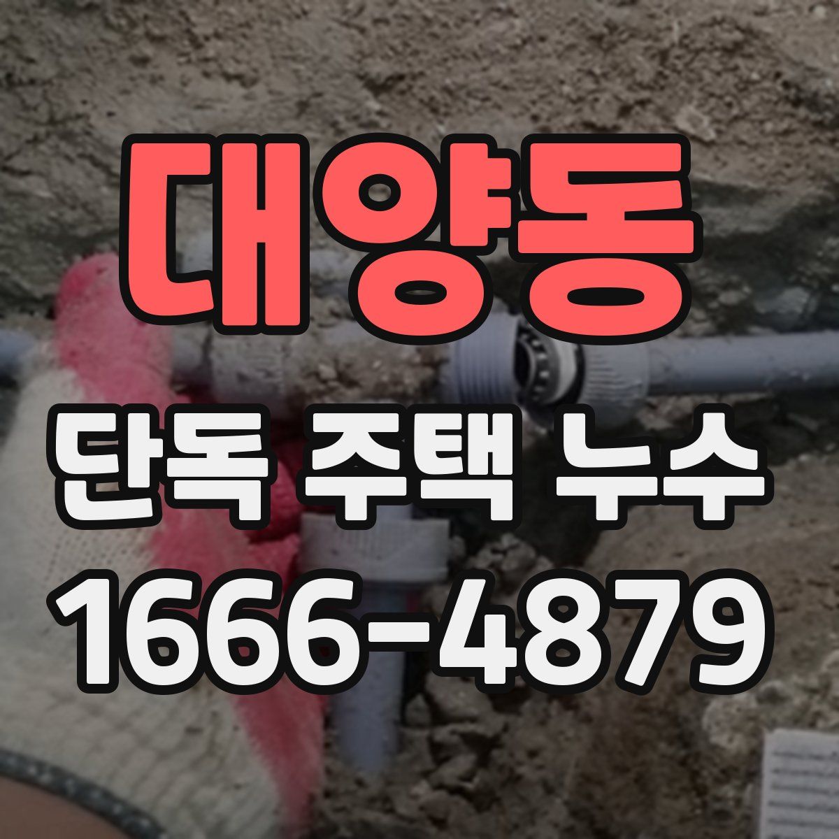대양동 단독 주택 누수