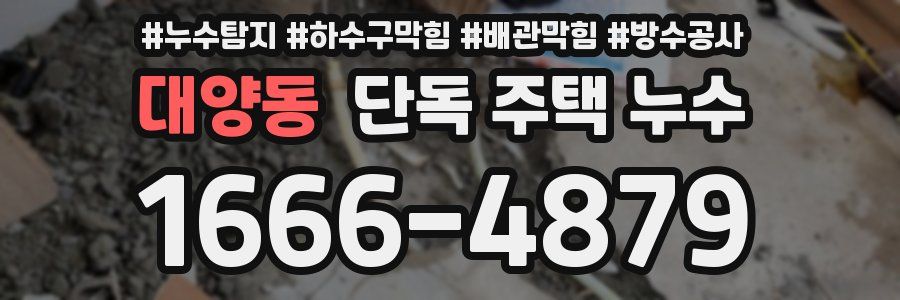 대양동 단독 주택 누수