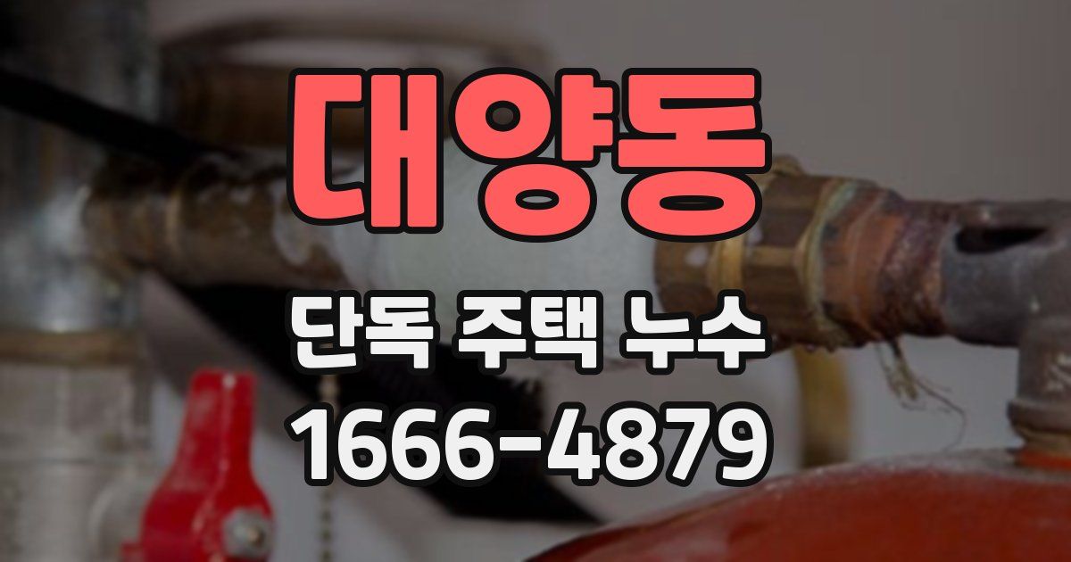 대양동 단독 주택 누수