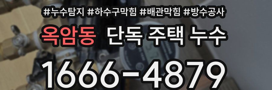 옥암동 단독 주택 누수