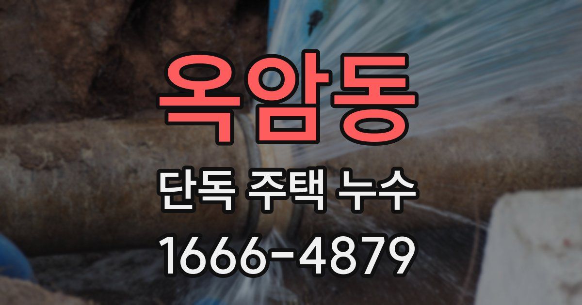 옥암동 단독 주택 누수
