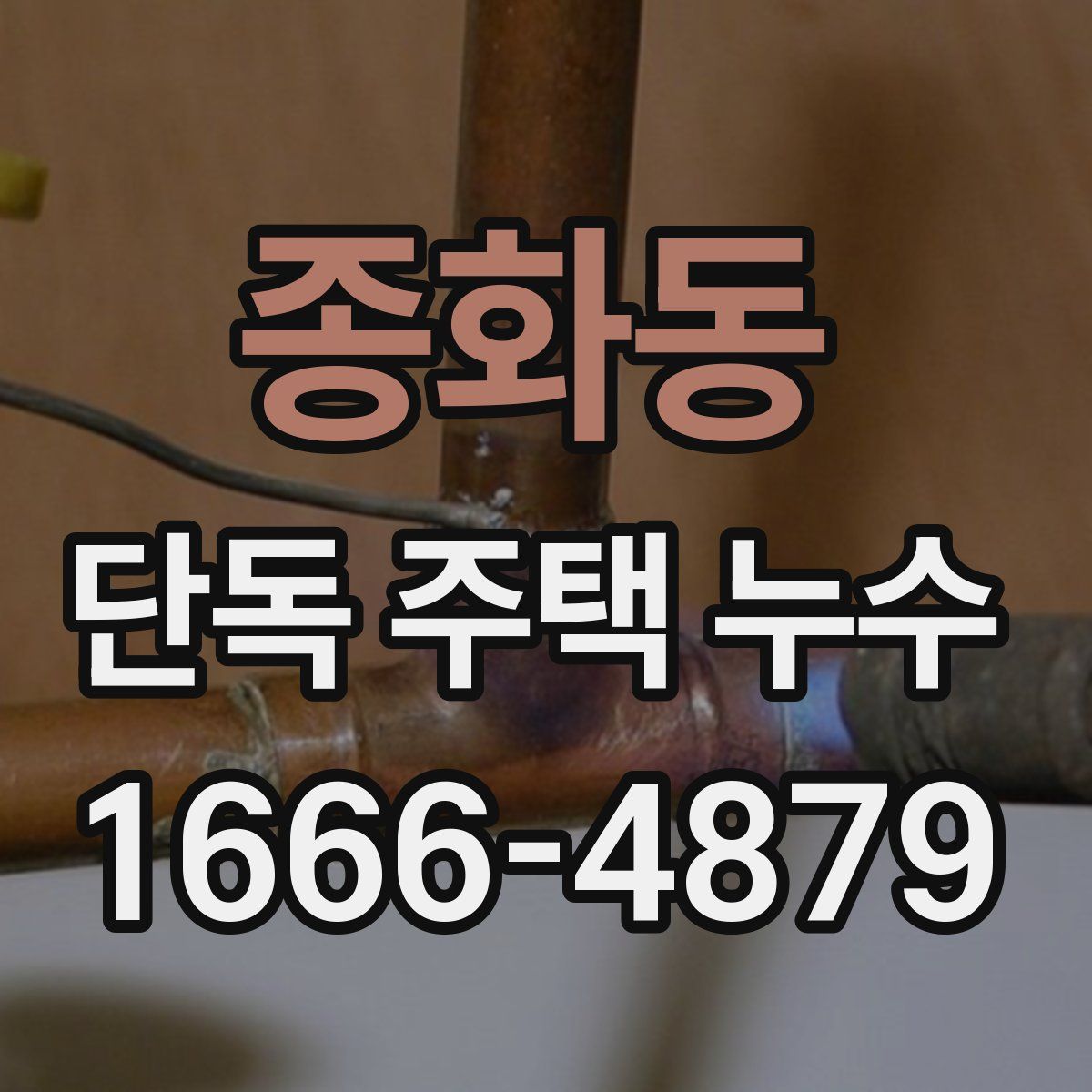 종화동 단독 주택 누수