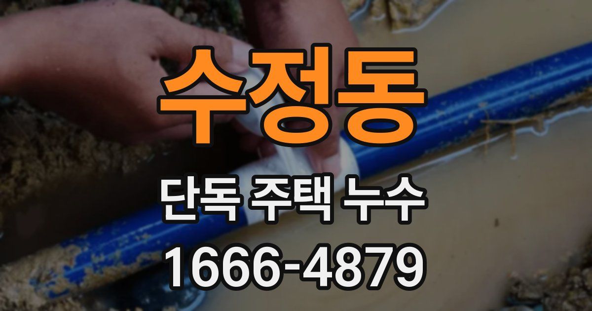 수정동 단독 주택 누수