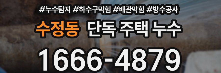 수정동 단독 주택 누수