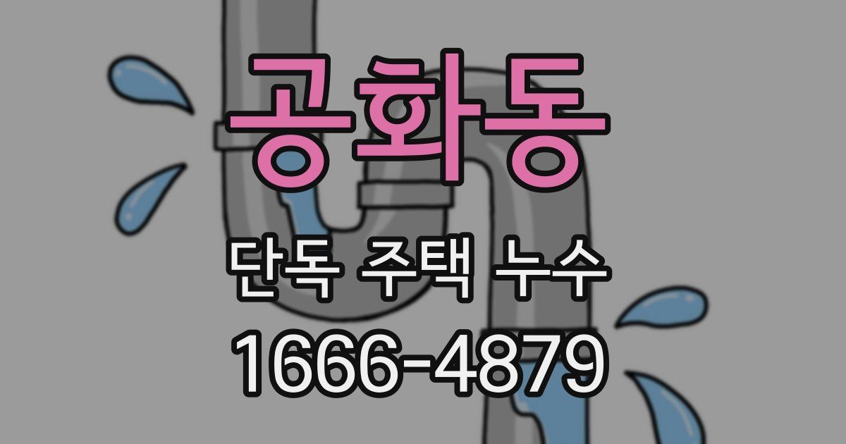 공화동 단독 주택 누수