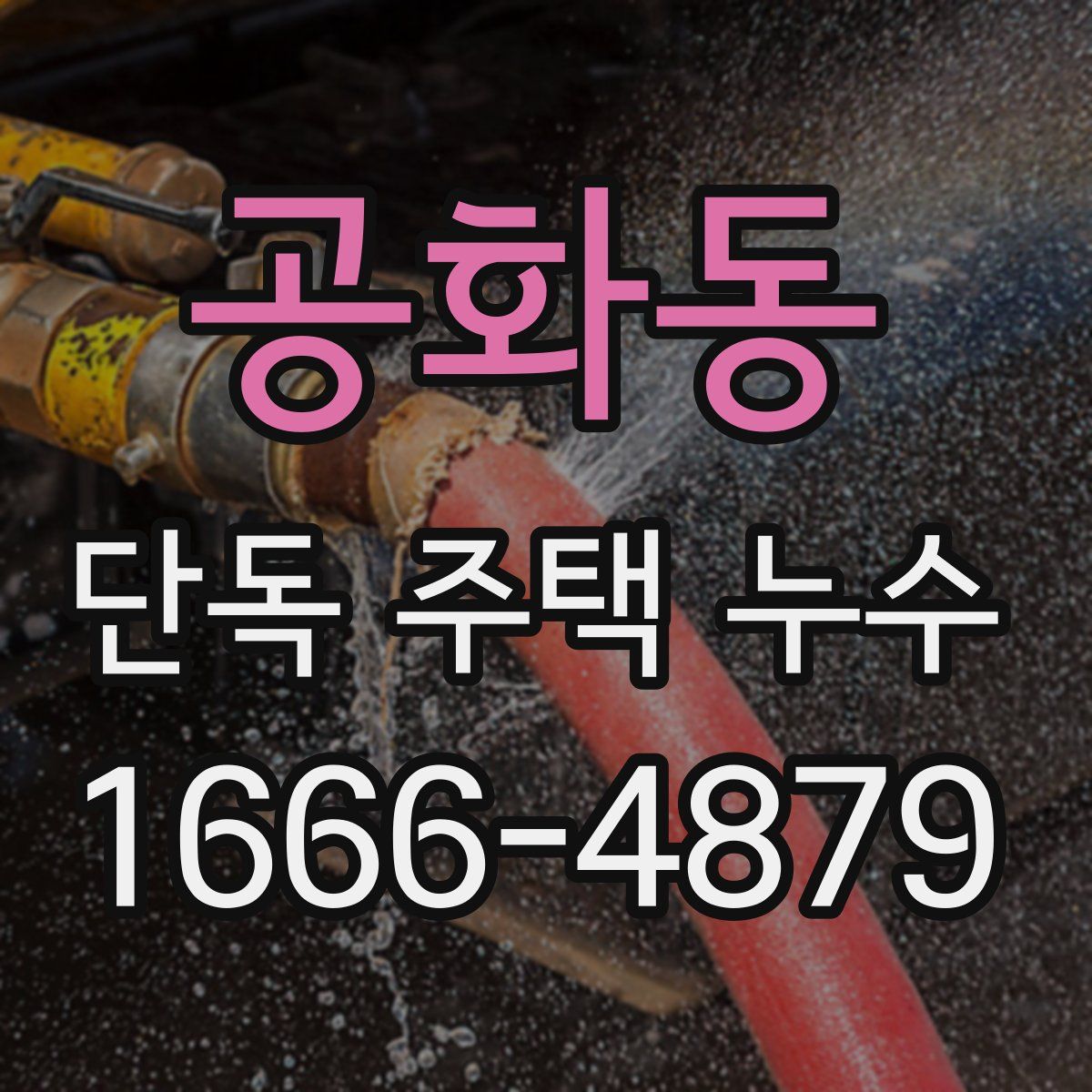 공화동 단독 주택 누수
