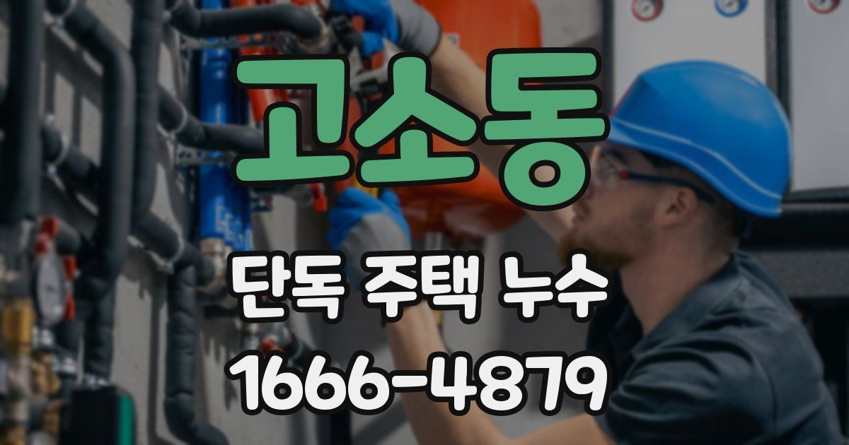 고소동 단독 주택 누수