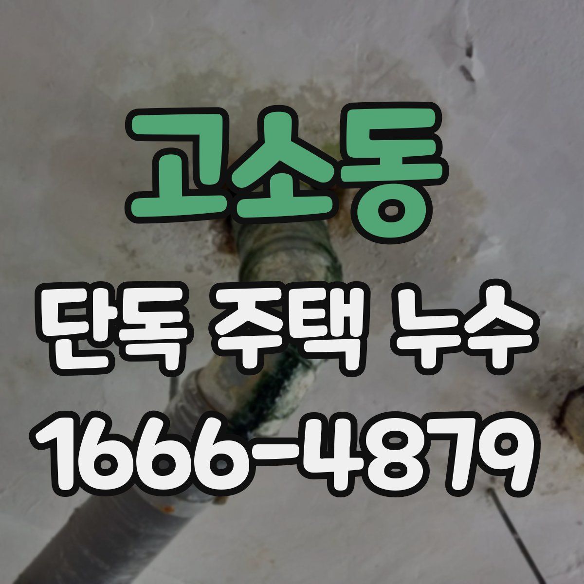 고소동 단독 주택 누수