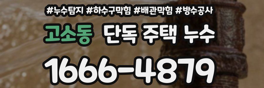 고소동 단독 주택 누수
