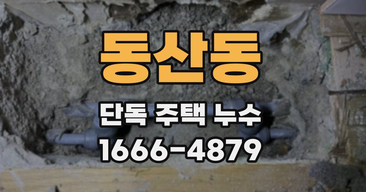 동산동 단독 주택 누수