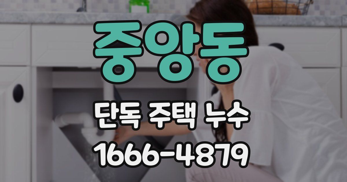 중앙동 단독 주택 누수
