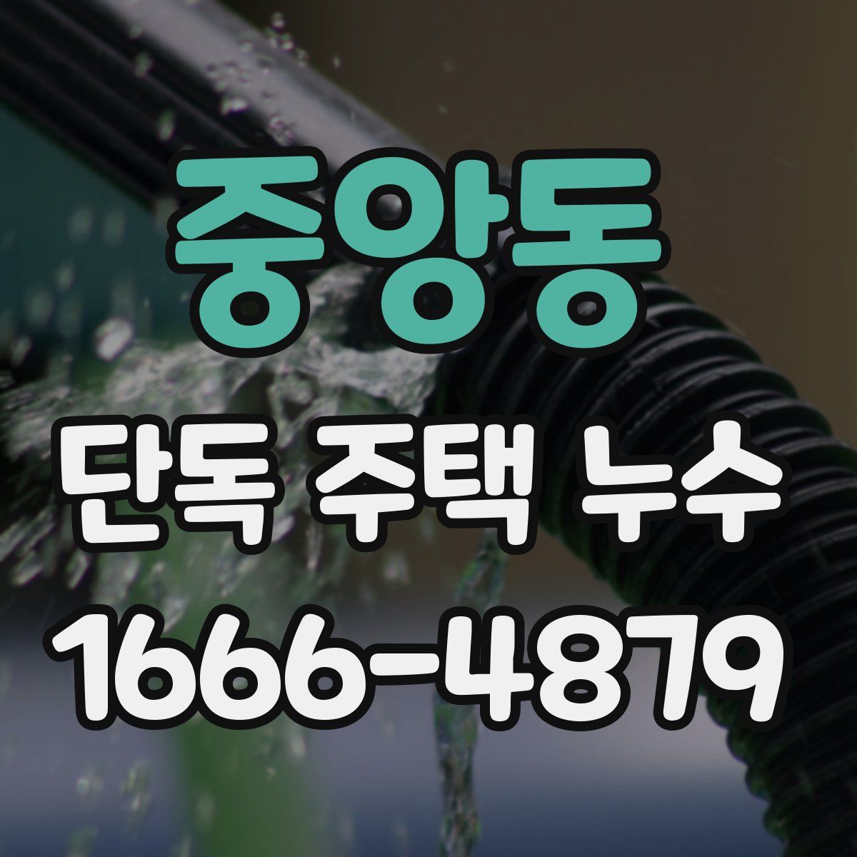 중앙동 단독 주택 누수