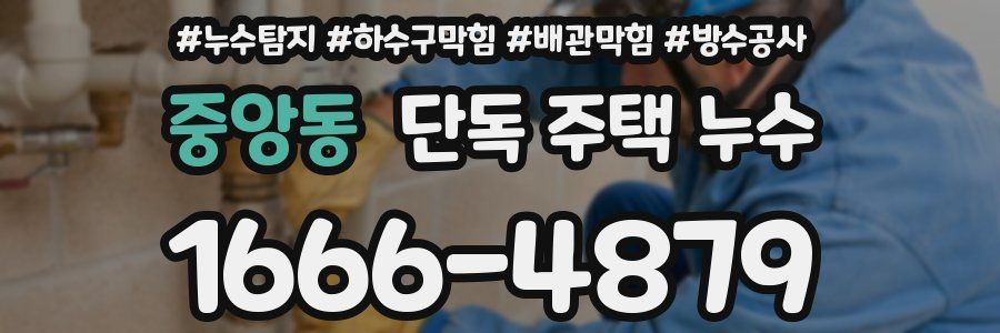 중앙동 단독 주택 누수