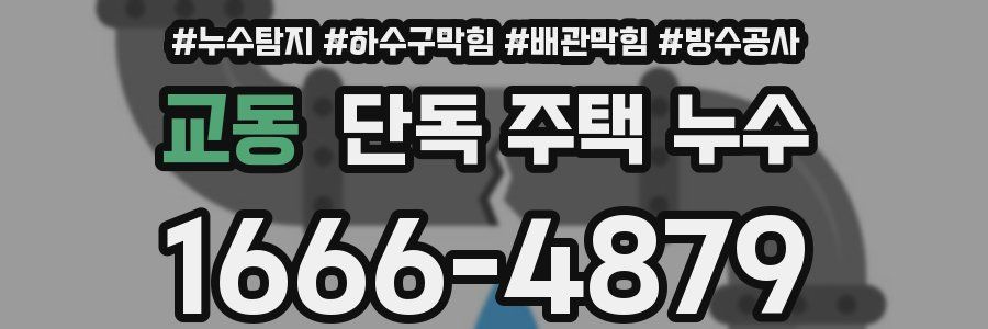 교동 단독 주택 누수