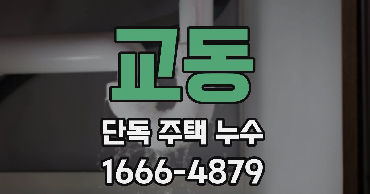 교동 단독 주택 누수