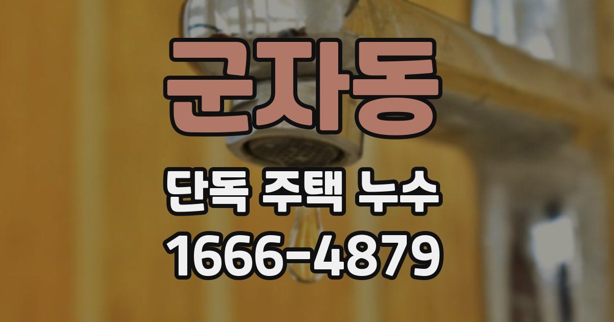 군자동 단독 주택 누수
