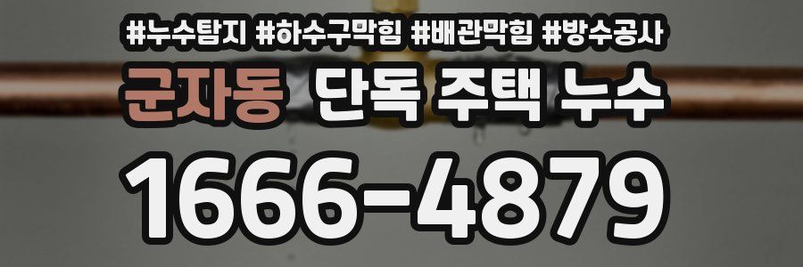 군자동 단독 주택 누수