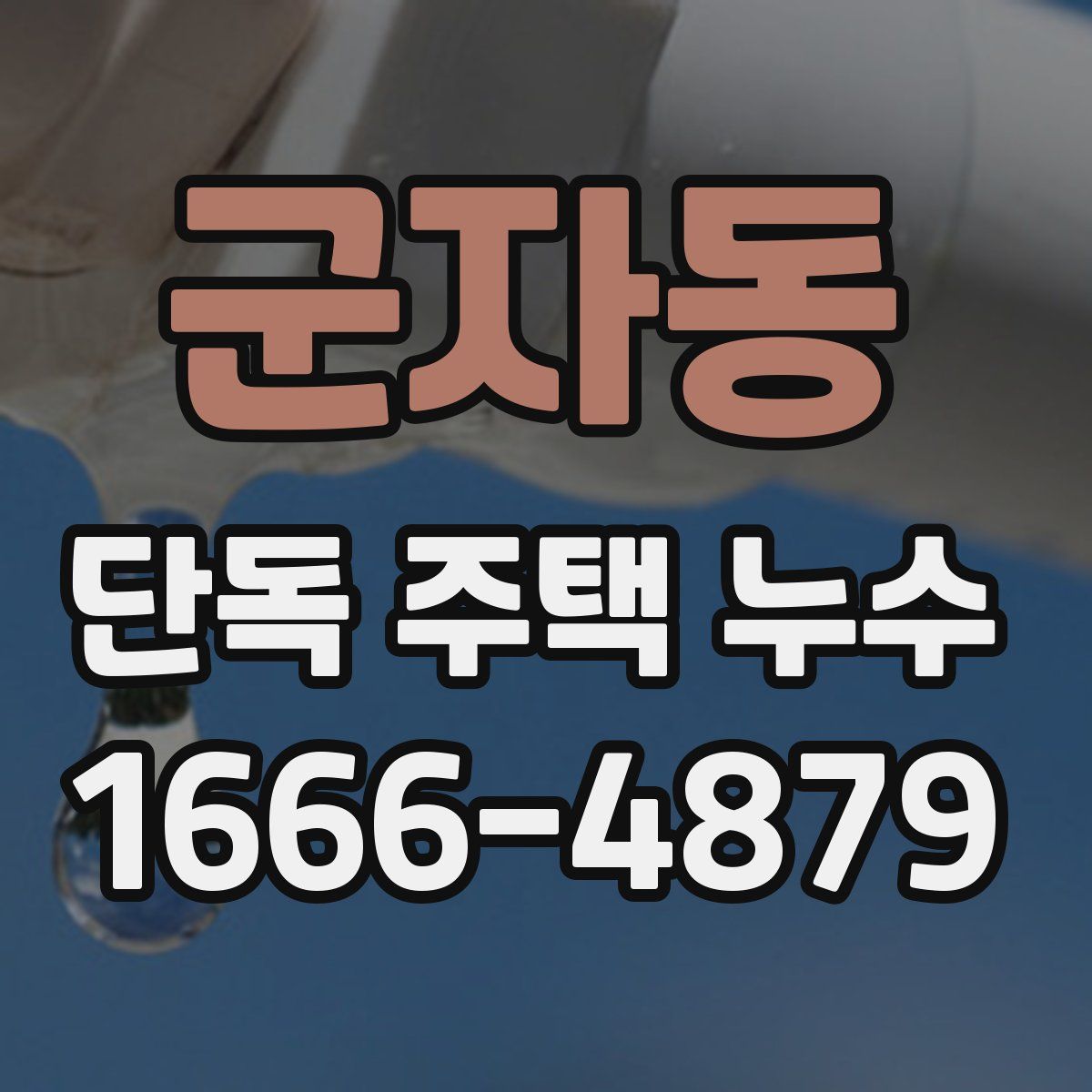 군자동 단독 주택 누수