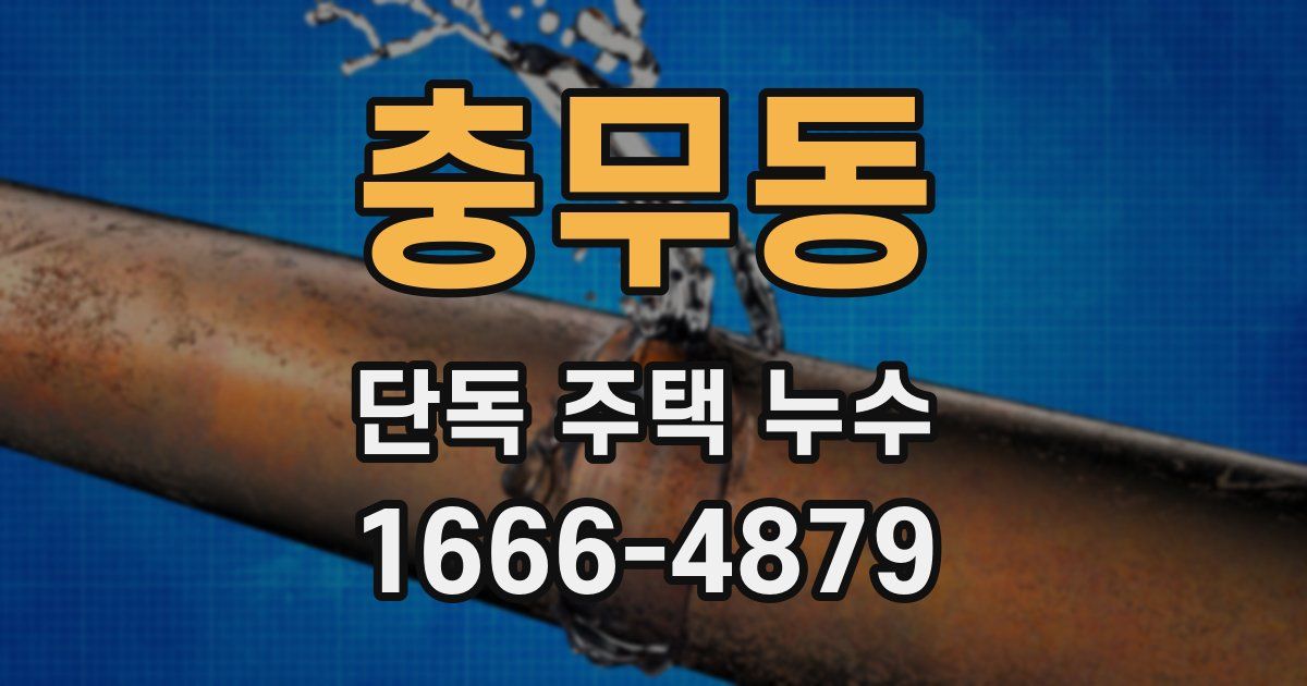 충무동 단독 주택 누수